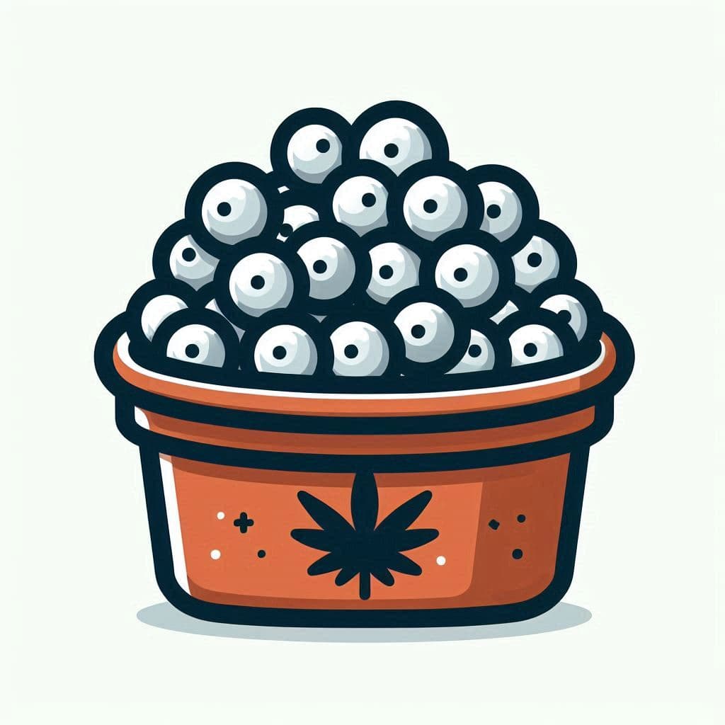 Cannabis Seeds in Rhode Island