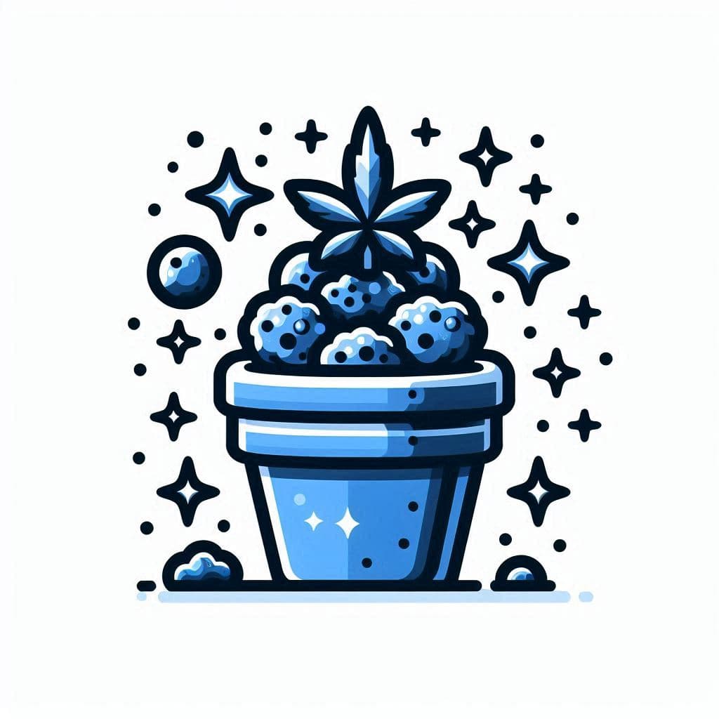 Grow Blue Dream Seeds
